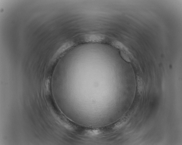 X0000062930071200601181320