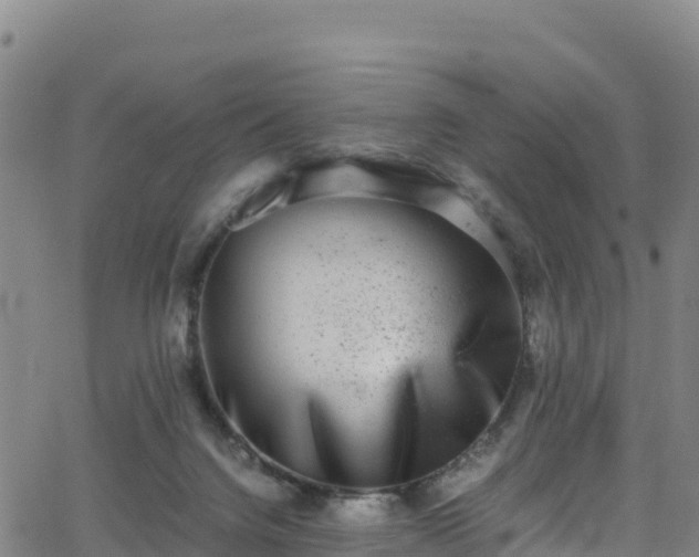 X0000062930072200601181320