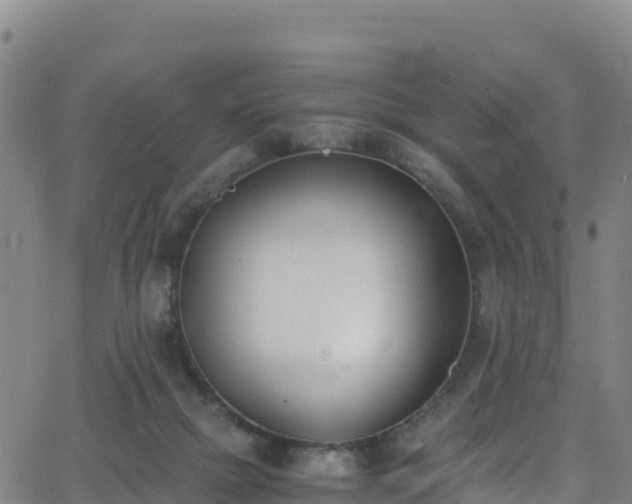 X0000062930073200601181320