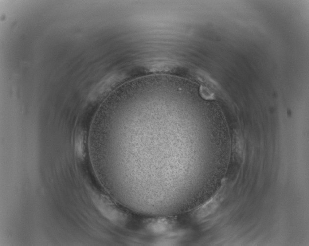 X0000062930074200601181320