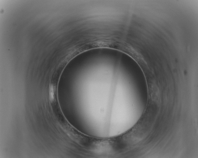 X0000062930075200601181320