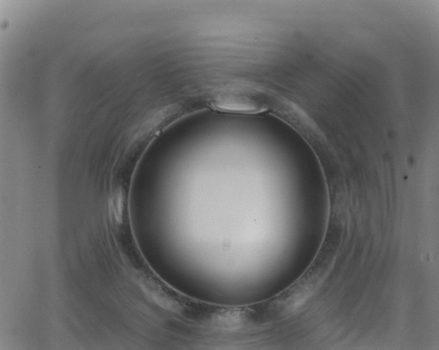 X0000062930076200601181320