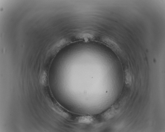 X0000062930077200601181320