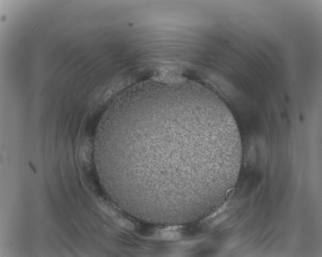 X0000062930078200601181320