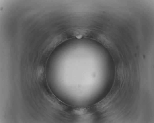 X0000062930079200601181320