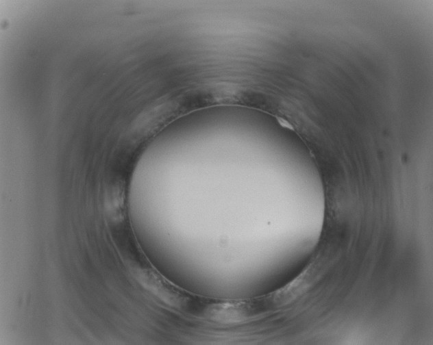 X0000062930082200601181320