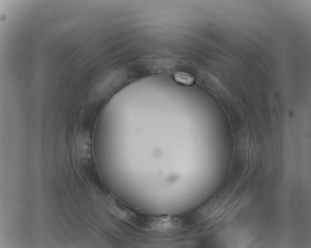 X0000062930083200601181320