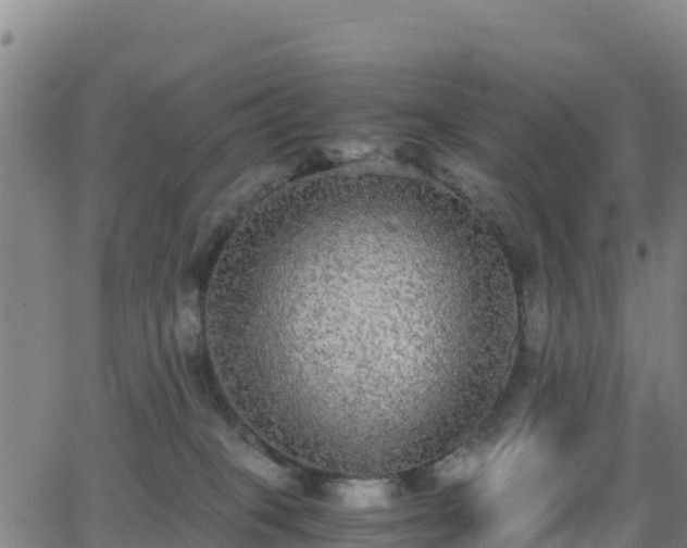 X0000062930085200601181320