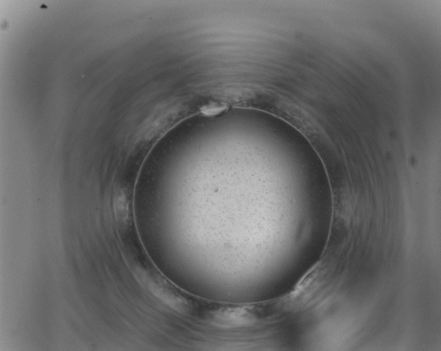 X0000062930086200601181320