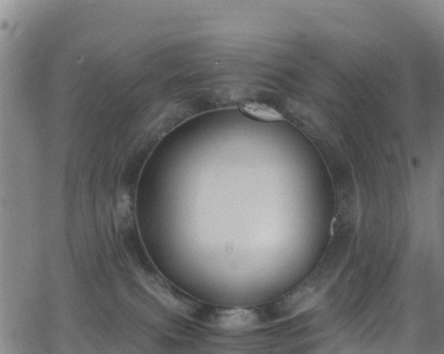 X0000062930087200601181320