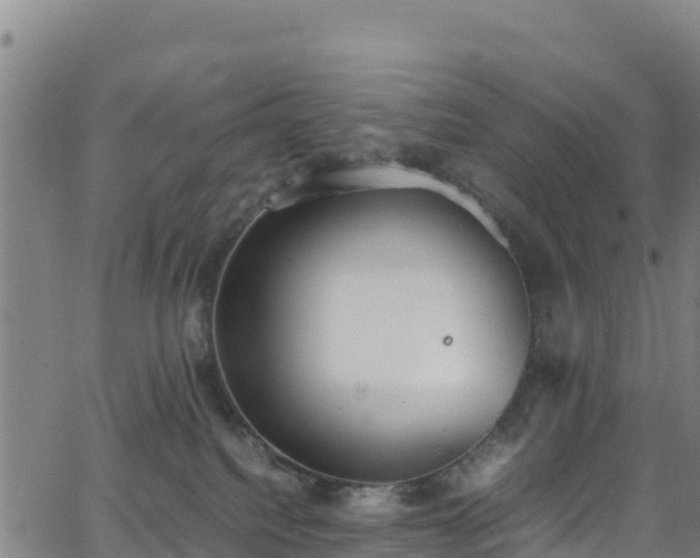 X0000062930088200601181320