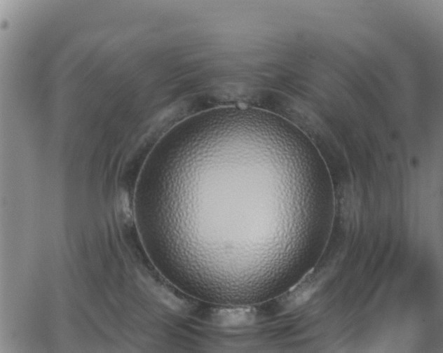 X0000062930089200601181320