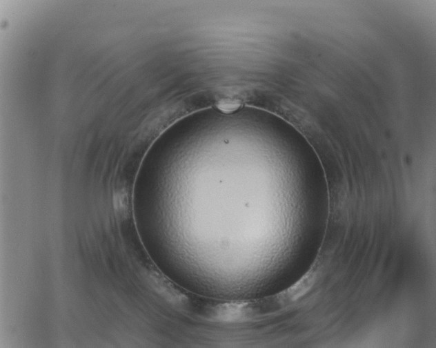 X0000062930090200601181320