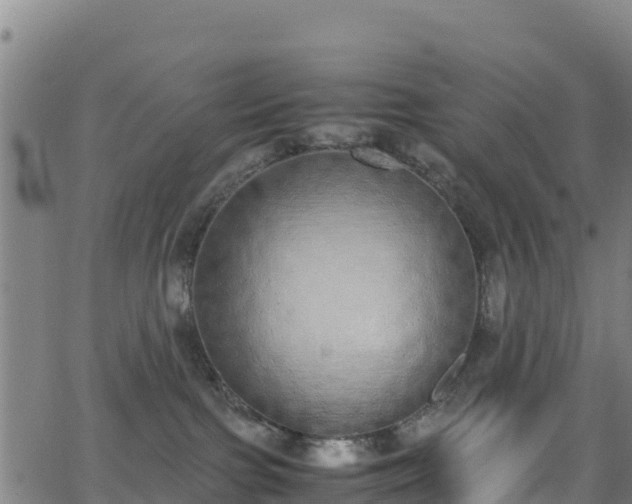 X0000062930091200601181320