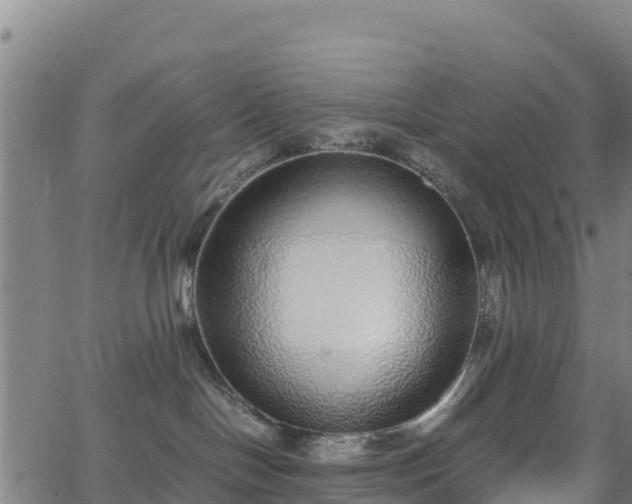 X0000062930094200601181320