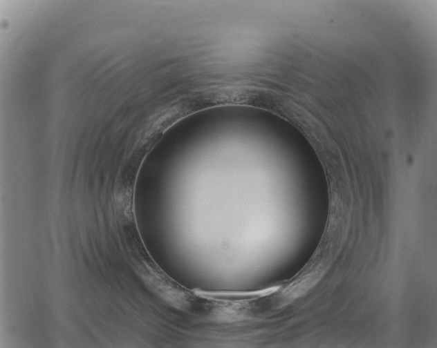 X0000062930096200601181320