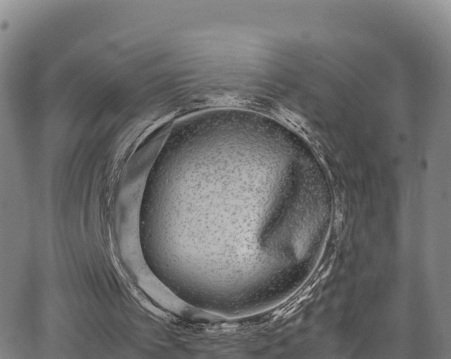 X0000062930097200601181320