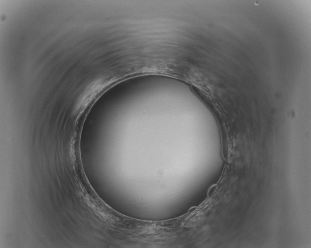 X0000062930098200601181320