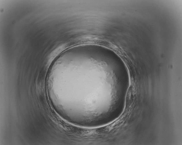 X0000062930099200601181320