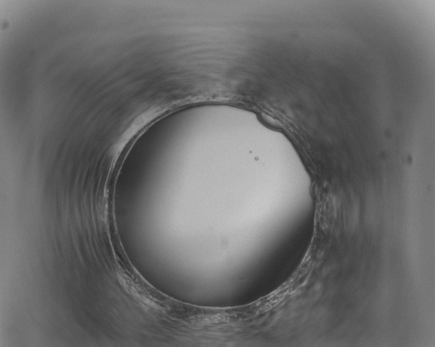 X0000062930100200601181320