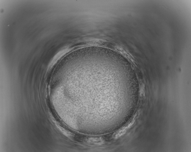 X0000062930101200601181320