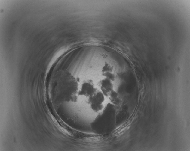 X0000062930102200601181320