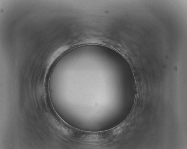 X0000062930104200601181319