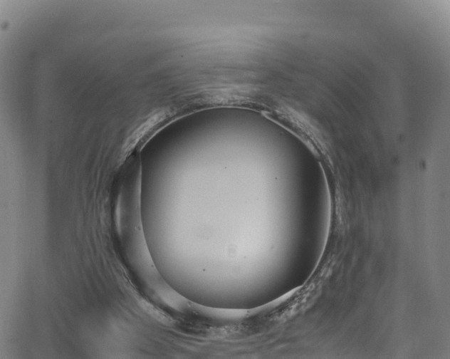 X0000062930105200601181319