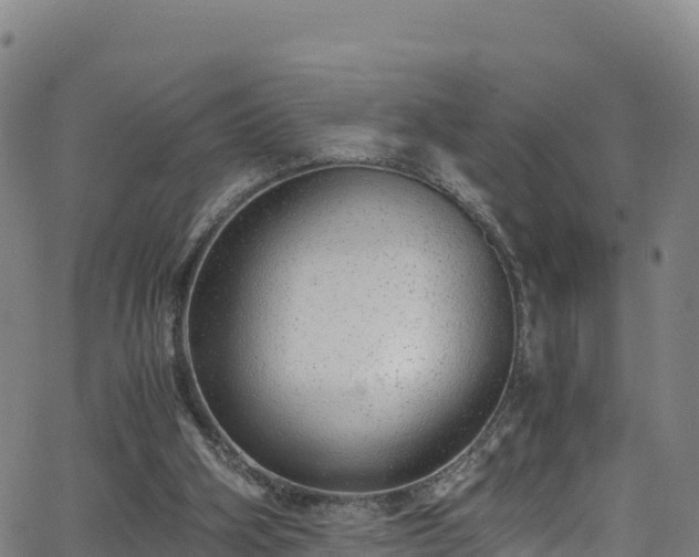 X0000062930106200601181319