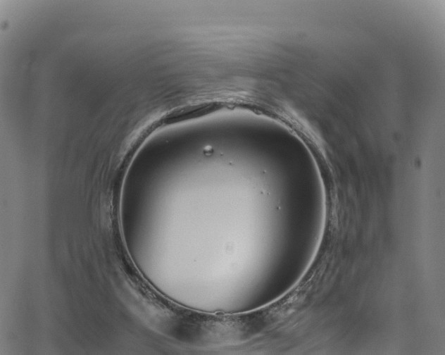 X0000062930107200601181319