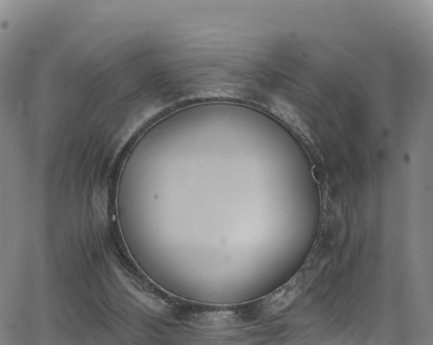 X0000062930108200601181319