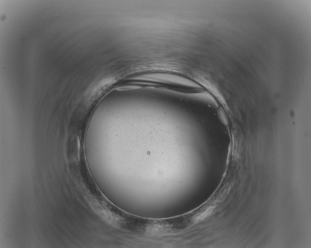 X0000062930109200601181319