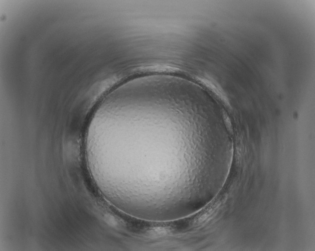 X0000062930111200601181319