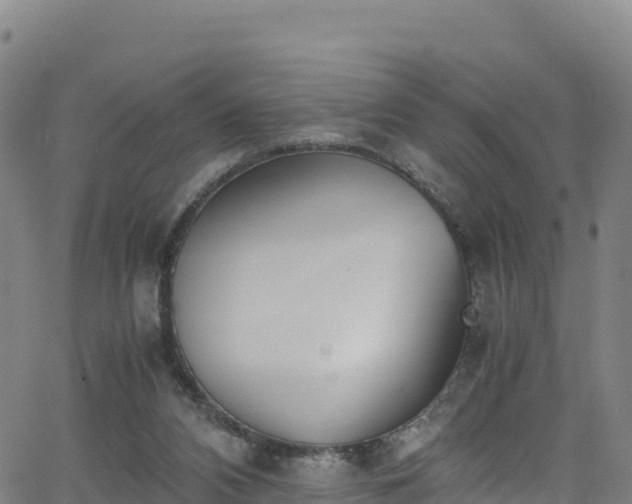 X0000062930112200601181319