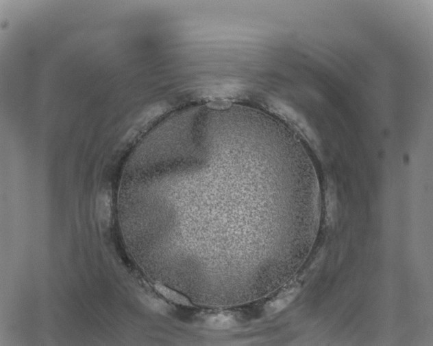 X0000062930113200601181319