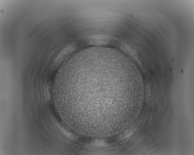 X0000062930114200601181319