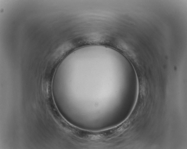 X0000062930115200601181319