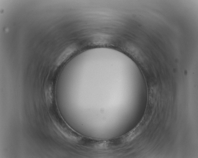 X0000062930116200601181319