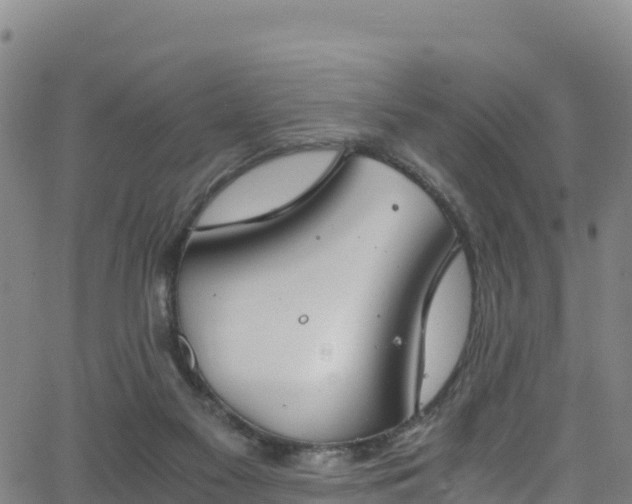 X0000062930117200601181319