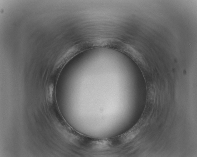 X0000062930118200601181319