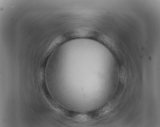 X0000062930119200601181319