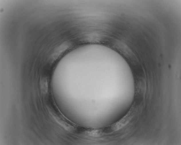 X0000062930120200601181319