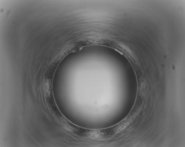 X0000062930121200601181319