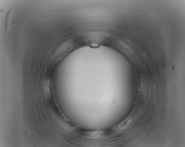 X0000062930122200601181319