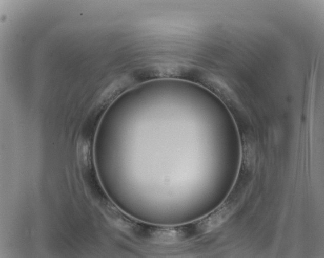 X0000062930123200601181319