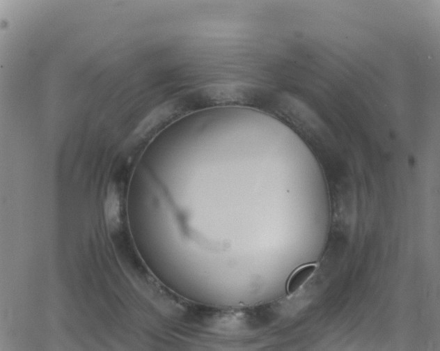 X0000062930124200601181319