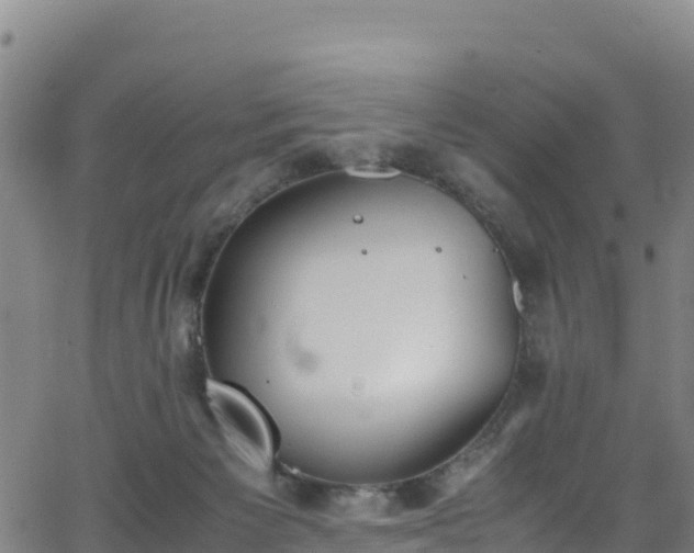 X0000062930125200601181319