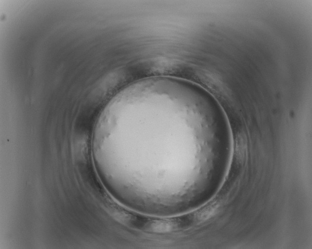 X0000062930127200601181319