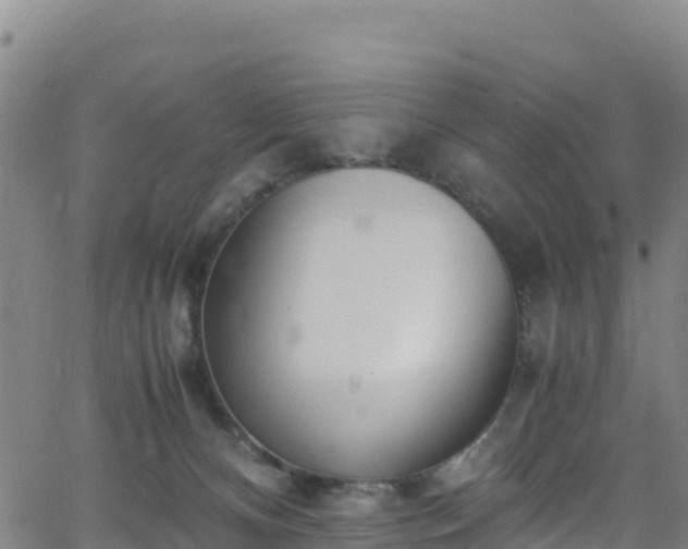 X0000062930128200601181319