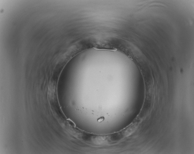 X0000062930129200601181319